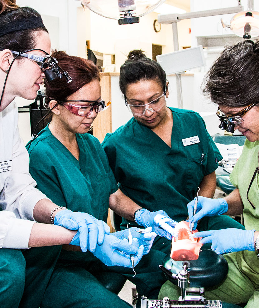 Dental hygiene student receives practical training.