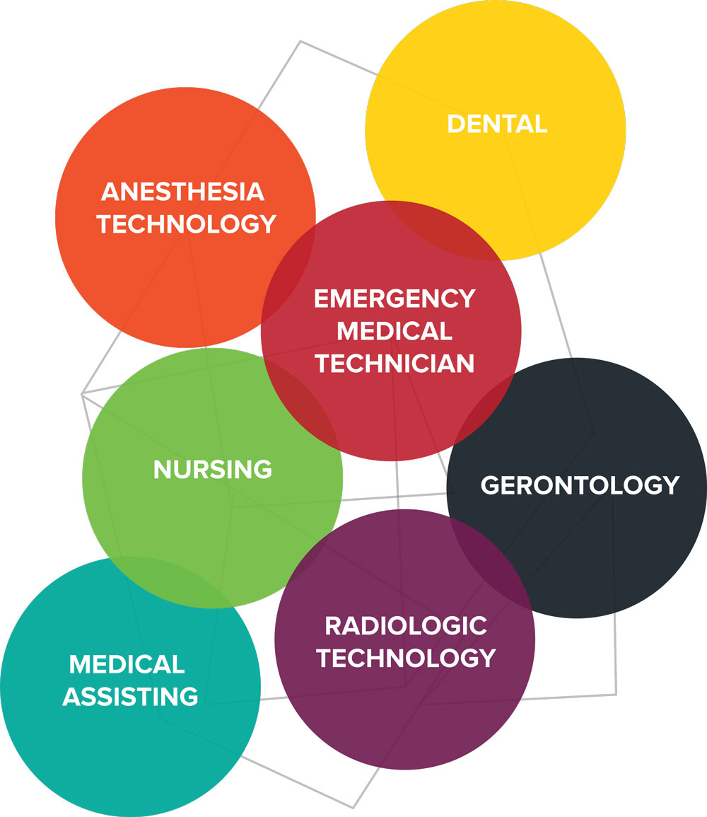 Graphic displaying the major areas of Health Sciences