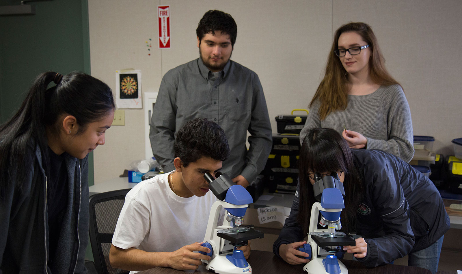 Students work together as they look into miscropscopes.