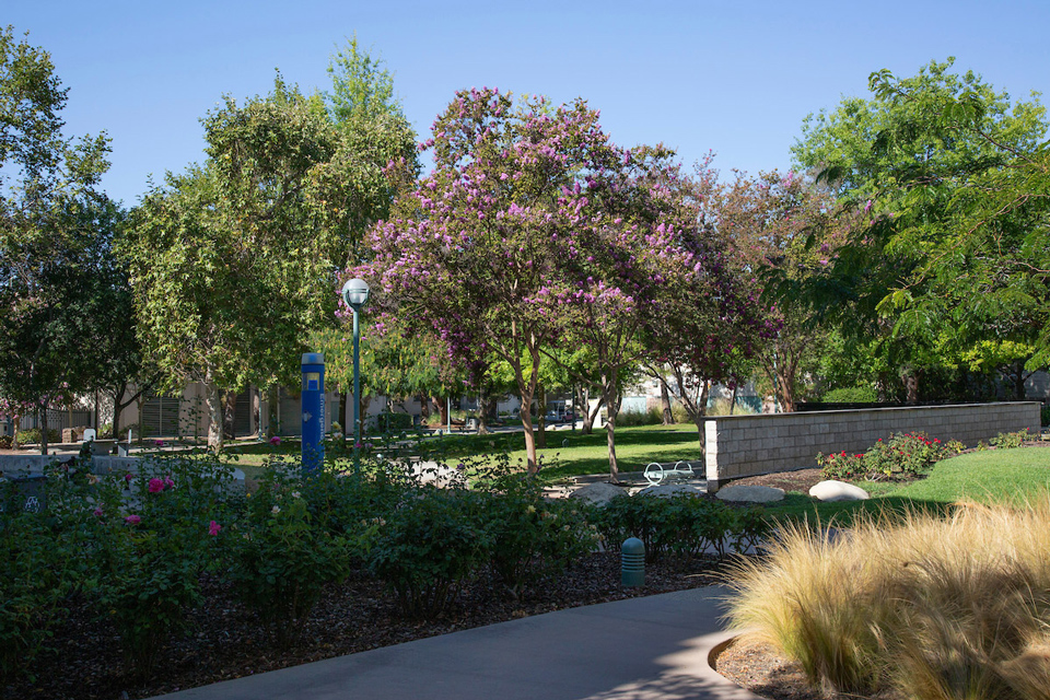 Center for the Arts West Patio