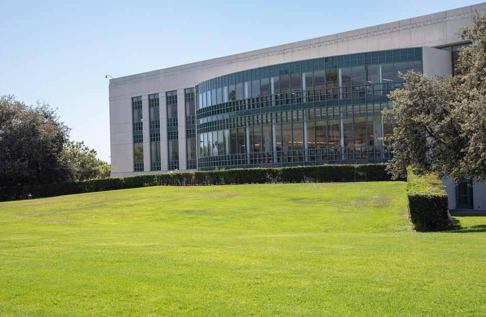 Library Lawn