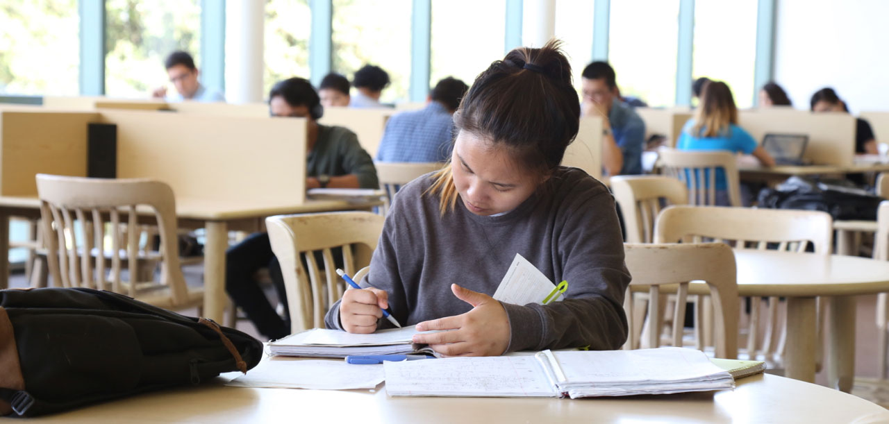 Student does research in the library